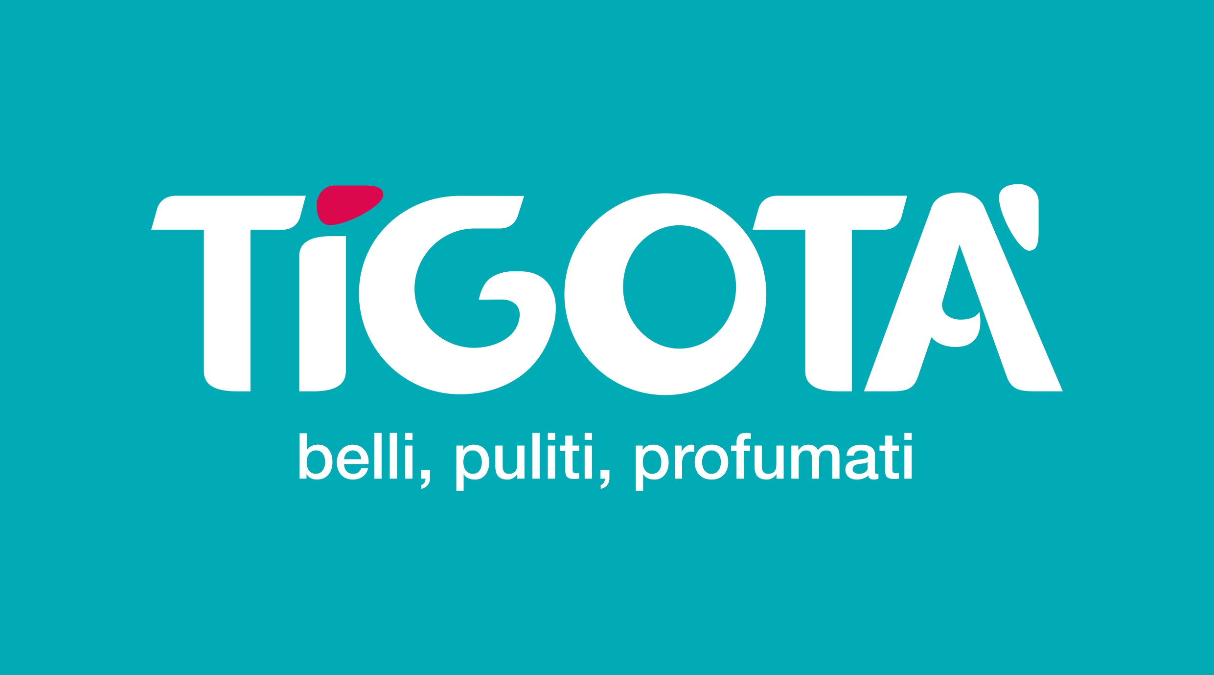 Tigotà Scorzé
